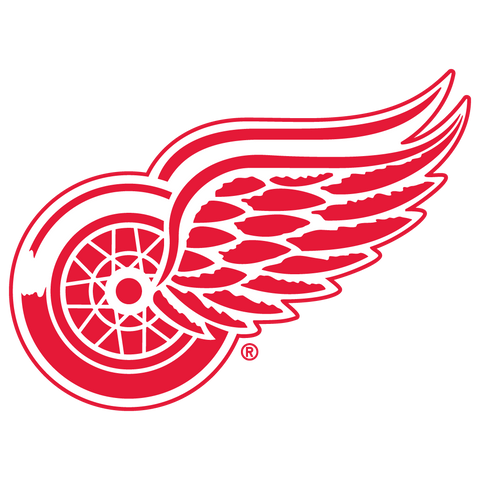 Detroit Red Wings - 6 Pack