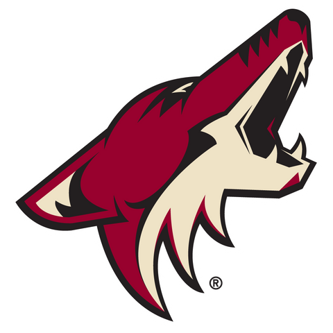 Phoenix Coyotes - 6 Pack