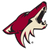 Phoenix Coyotes - 6 Pack