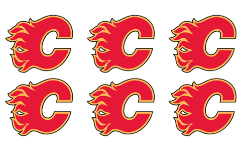 Calgary Flames - 6 Pack