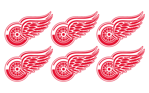 Detroit Red Wings - 6 Pack