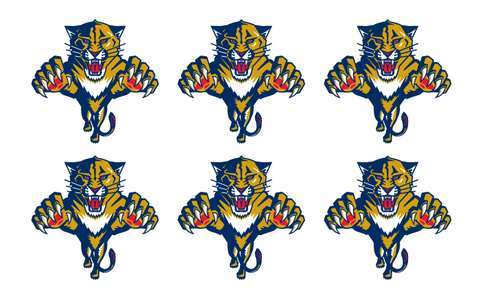 Florida Panthers - 6 Pack