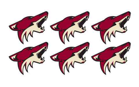 Phoenix Coyotes - 6 Pack